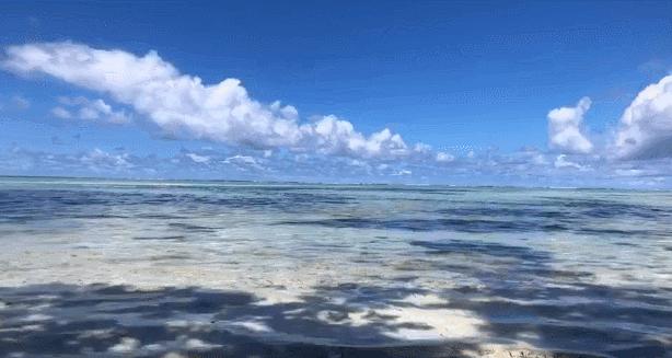 帕劳蓝洞潜水美人鱼,蓝色大海里的帕劳