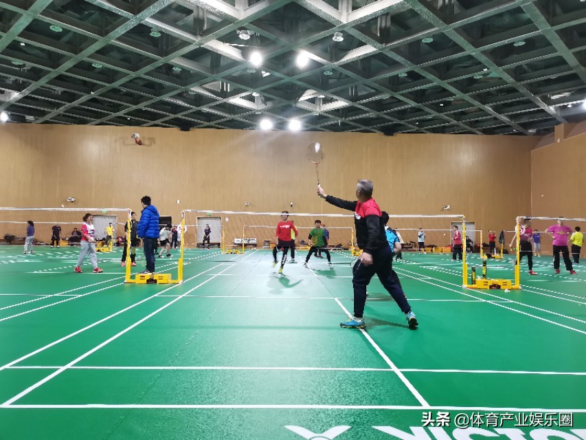 体育行业最赚钱的项目,最烧钱的体育项目排行