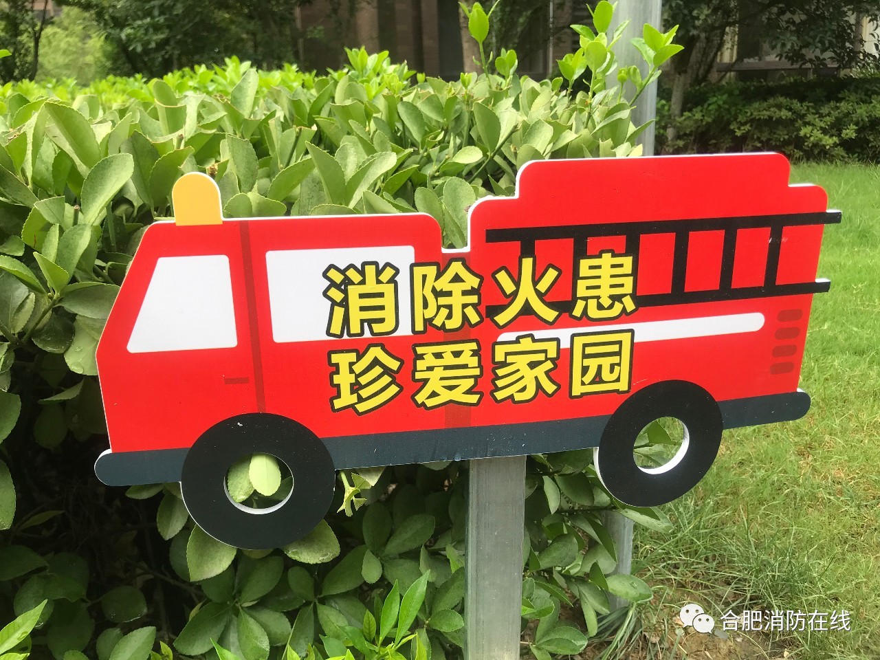 安徽合肥一小区发生的事,合肥小区事件最新消息