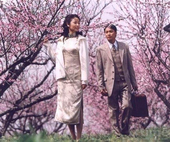 半生缘曼桢悲剧,电视剧半生缘曼桢的悲剧