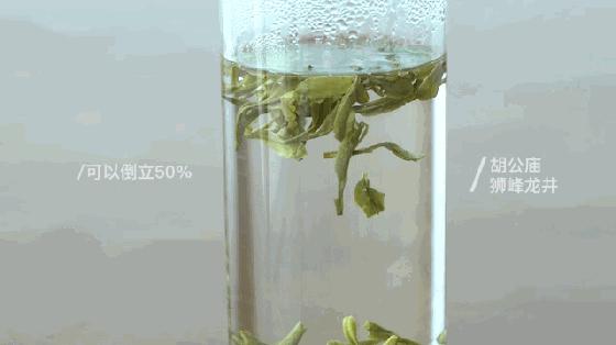 会倒立的才是好绿茶？我们给你做了这个实验