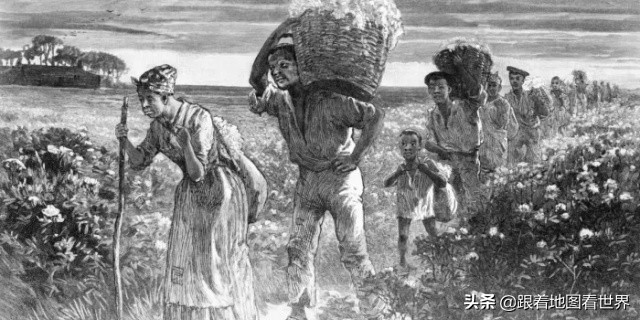 橘色与绿色,博因河战役