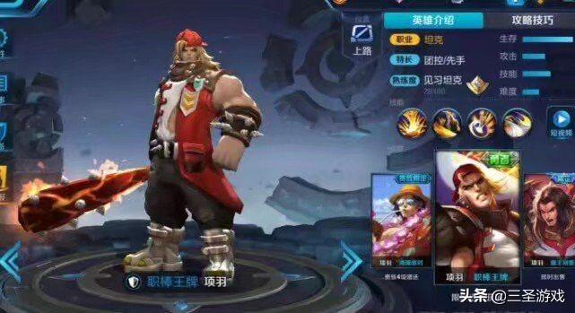 王者荣耀账号价值评估全英雄皮肤,王者荣耀全皮肤的账号有哪些