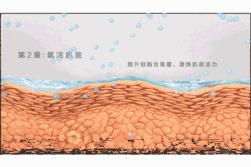 补充胶原蛋白是智商税吗,吃肉皮能补充胶原蛋白吗