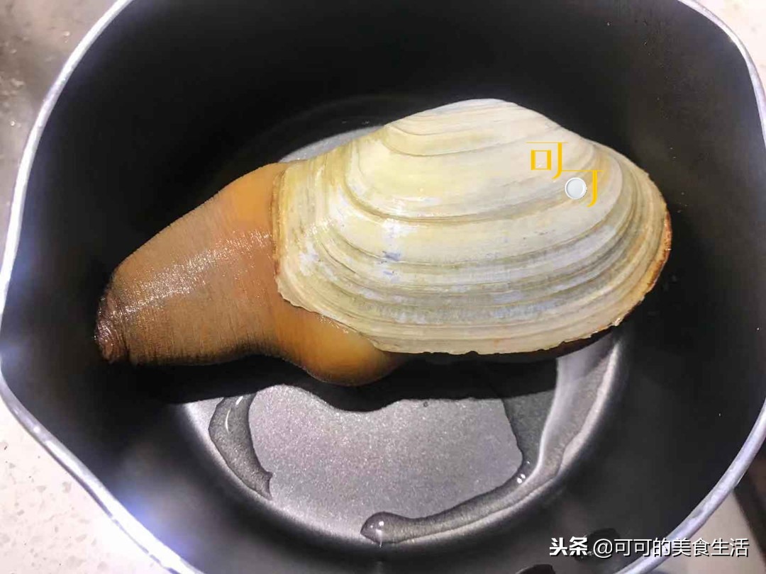 象拔蚌又好吃又好用,象拔蚌怎么吃最简单