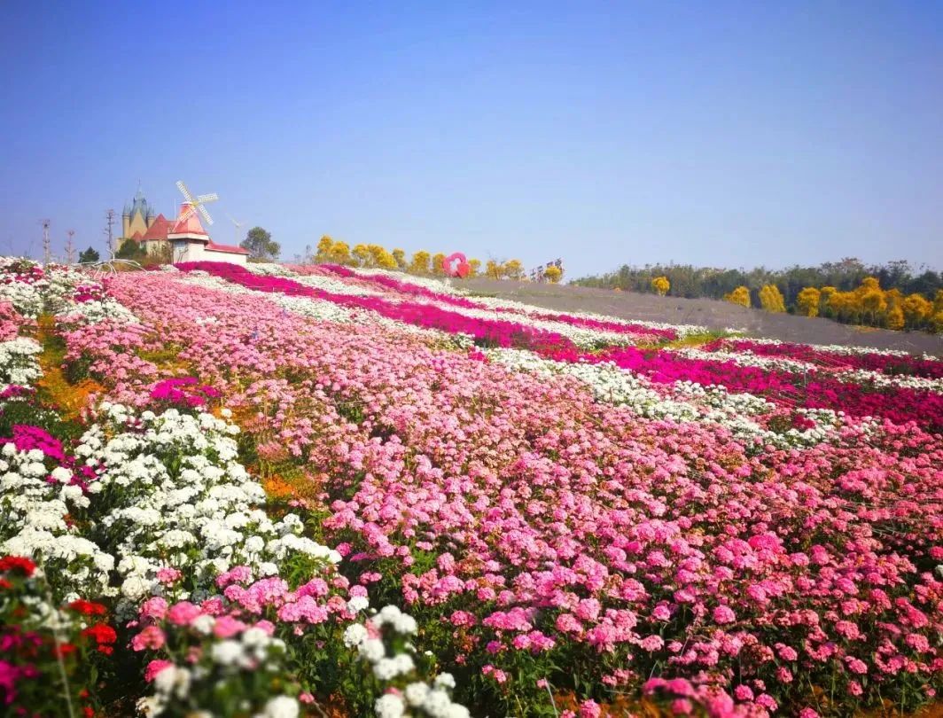 惠州适合亲子游的宝藏胜地,惠州宝藏打卡地