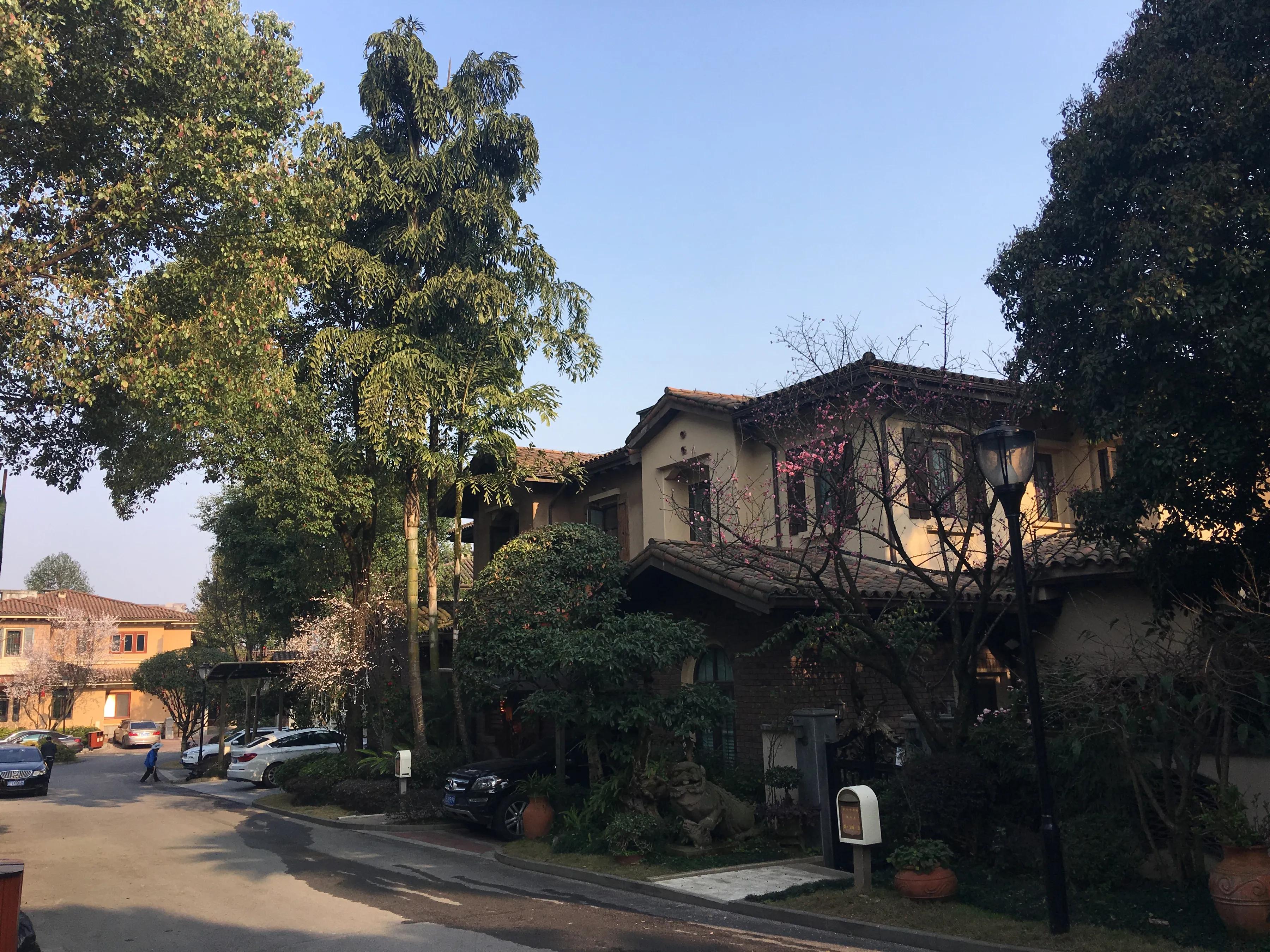 重庆龙湖蓝湖郡临湖,重庆龙湖蓝湖郡租房