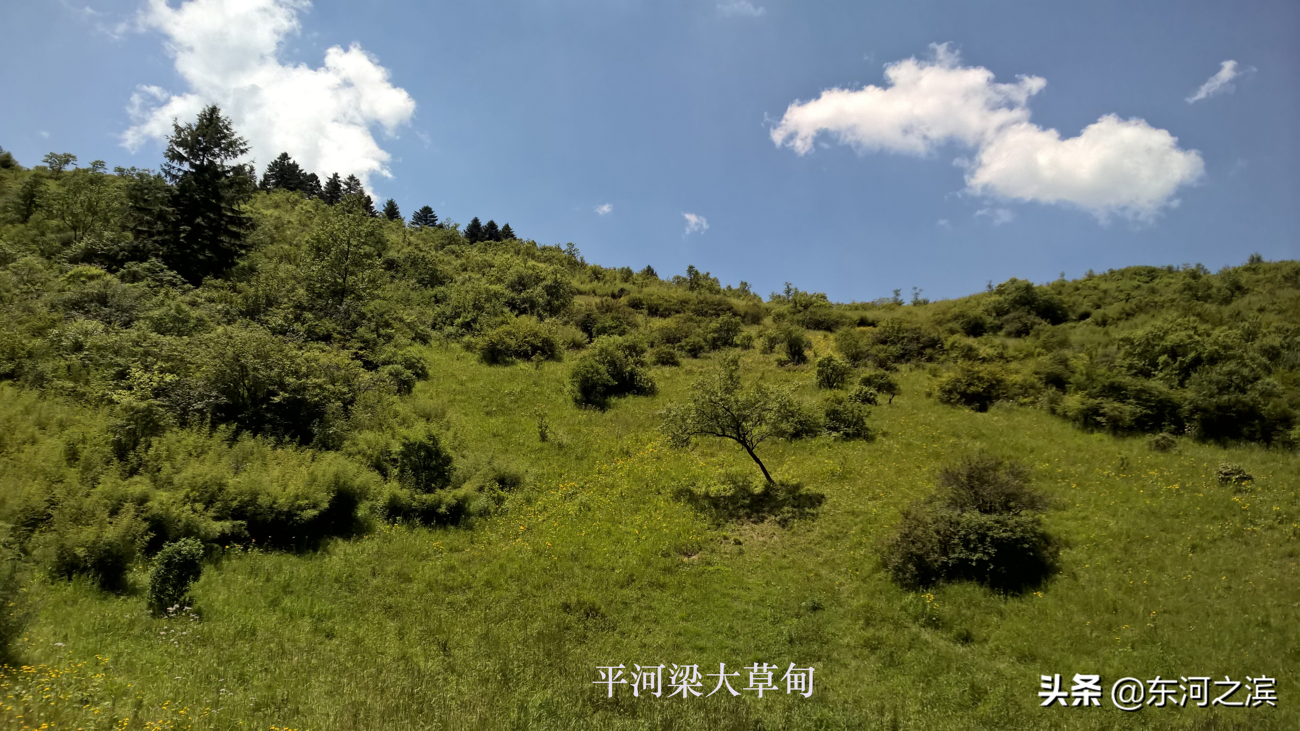 210国道秦岭沣峪口段好不好走,宁陕县自驾游翻越秦岭最佳路线图