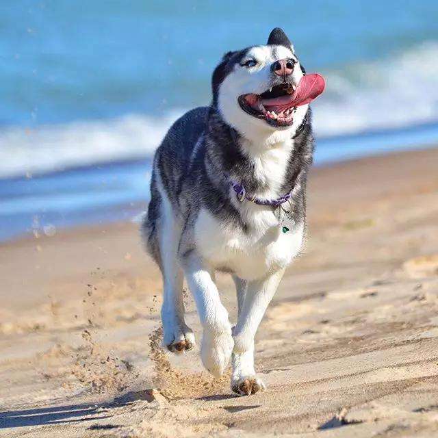 马云玛丽莲梦露,马云和梦露视频