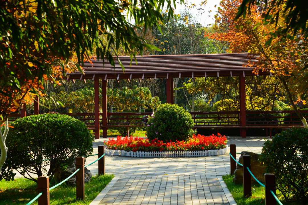 济南值得打卡的公园,好玩的泉城公园