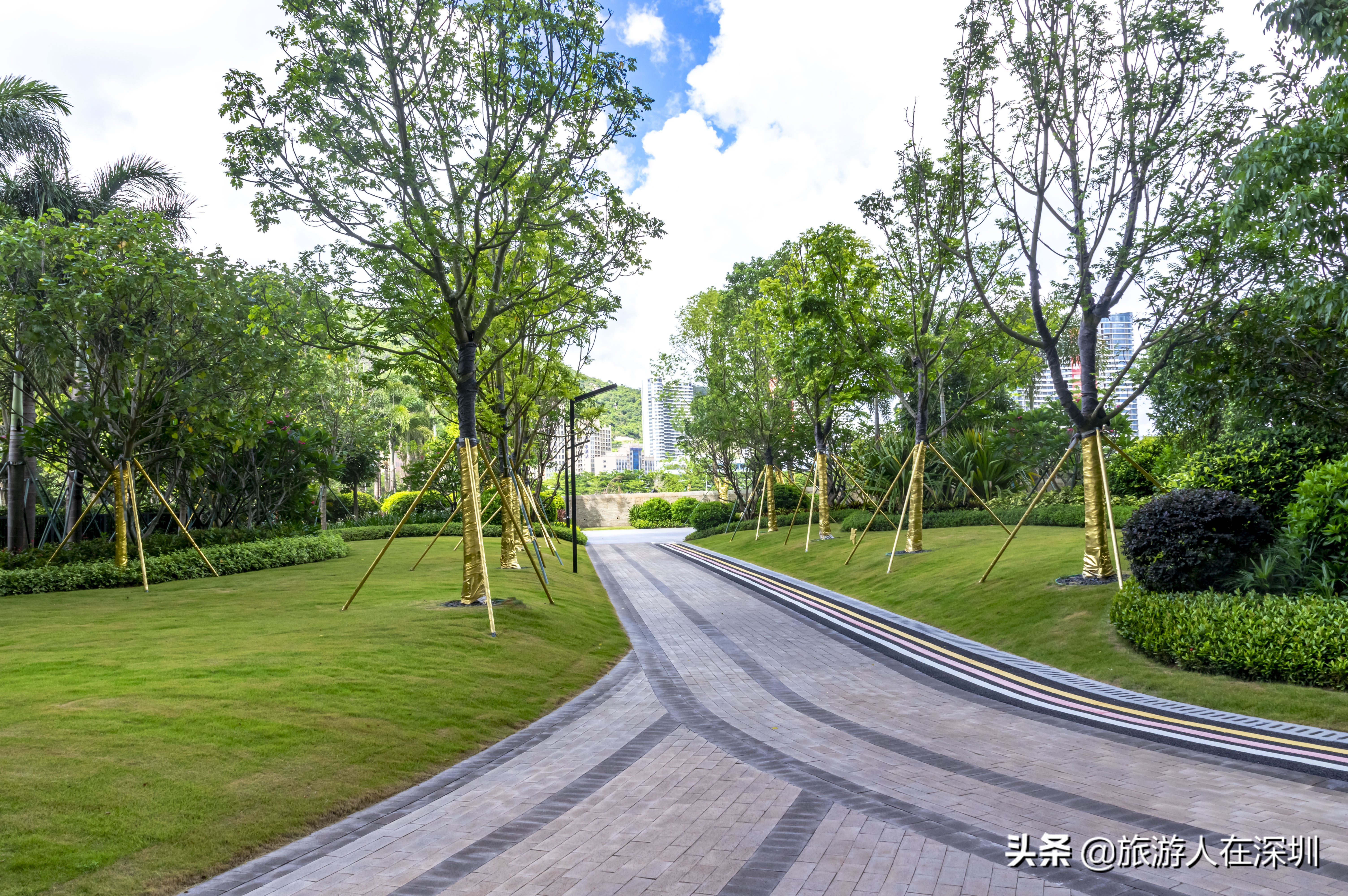 惠州巽寮湾酒店民宿推荐4房,巽寮湾海景酒店公寓