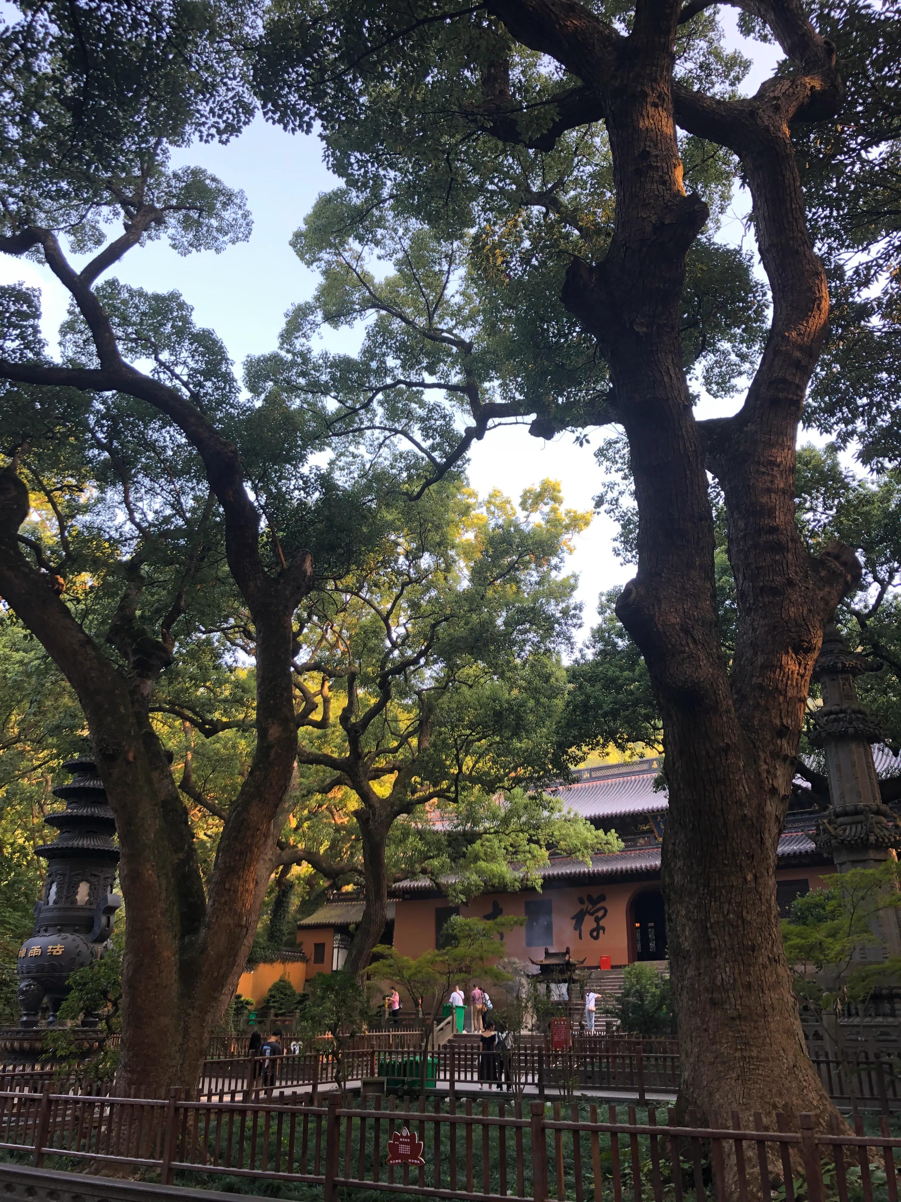 自驾游普陀山旅游攻略,广州到普陀山旅游攻略