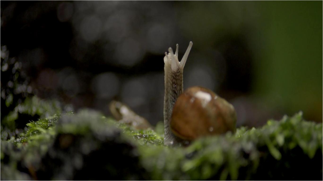 观赏地球的壮丽景观,看地球四季变换的视频