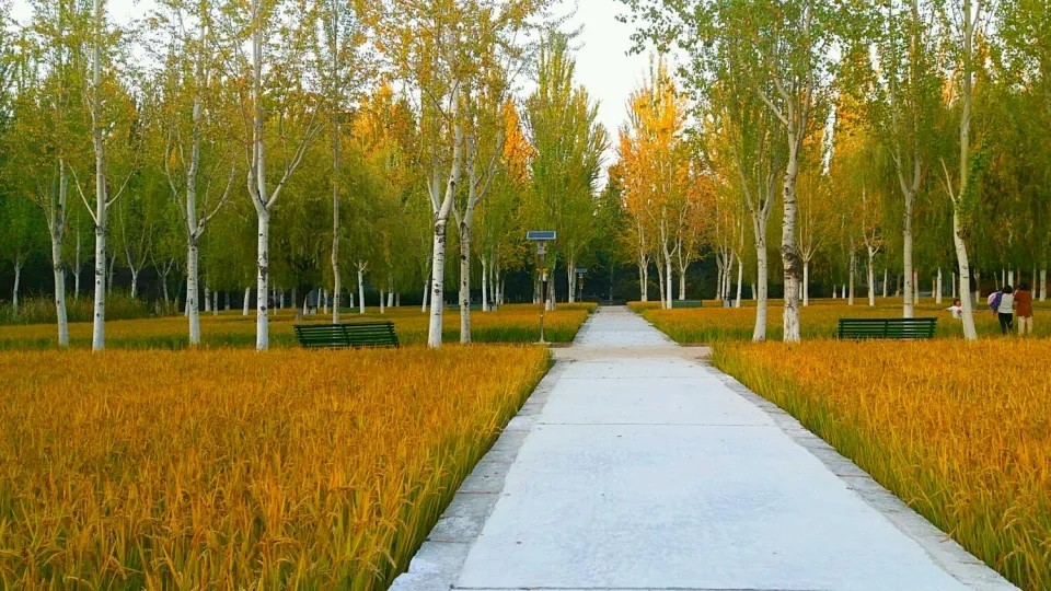 浑南区房地产板块分析,浑南区板块分析