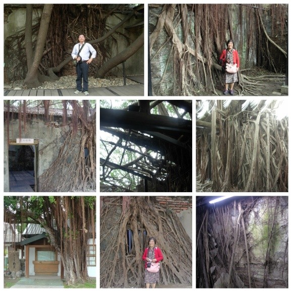 2018年十一月台湾环岛八日游攻略,台湾15天环岛游自由行