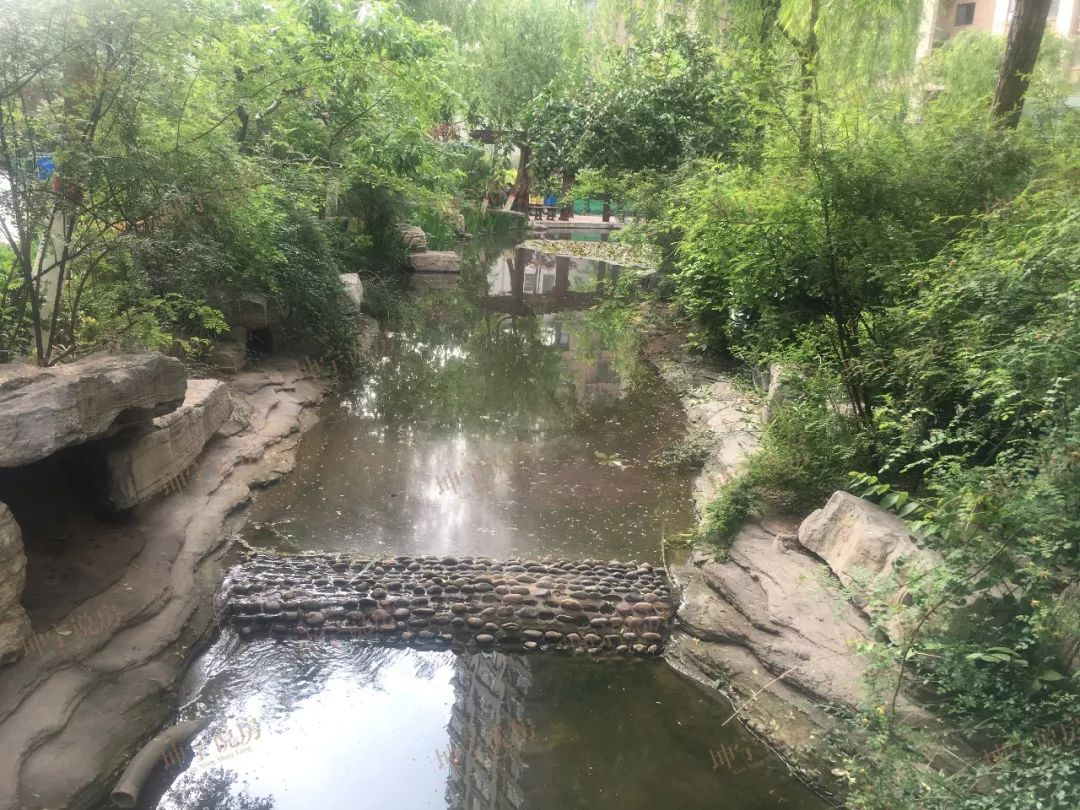 长安区哪个楼盘值得入手,长安板块楼盘有哪些好点