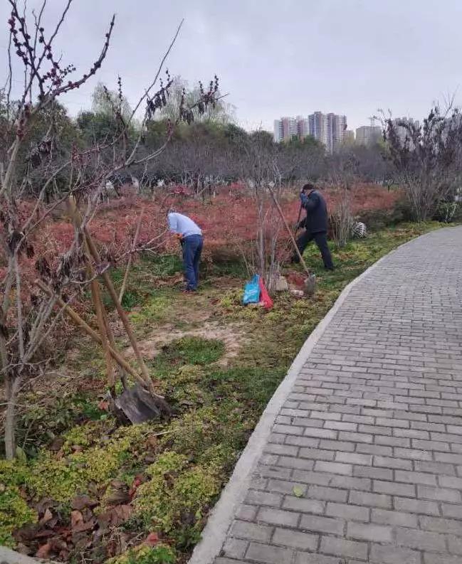 宝鸡美景欣赏,宝鸡美如画风景