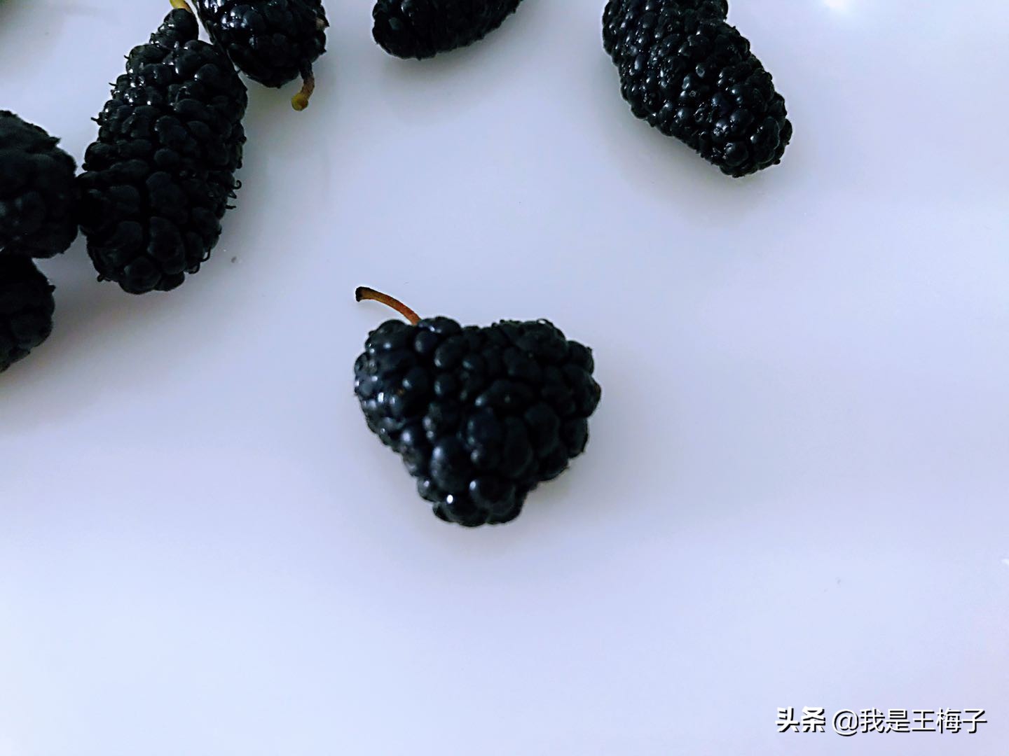 桑葚泡酒最正宗的做法,桑葚泡酒的制作方法和步骤