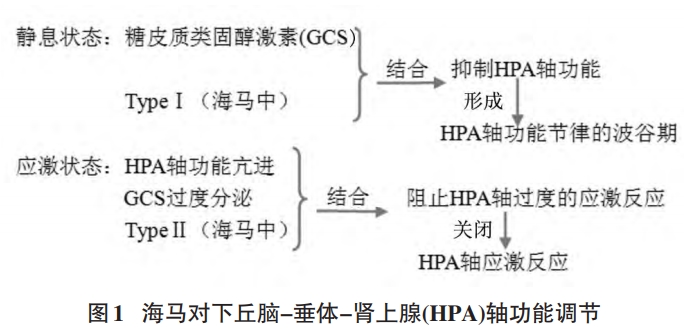 关注血糖变化控制糖尿病危险因素,关注患者的心理健康