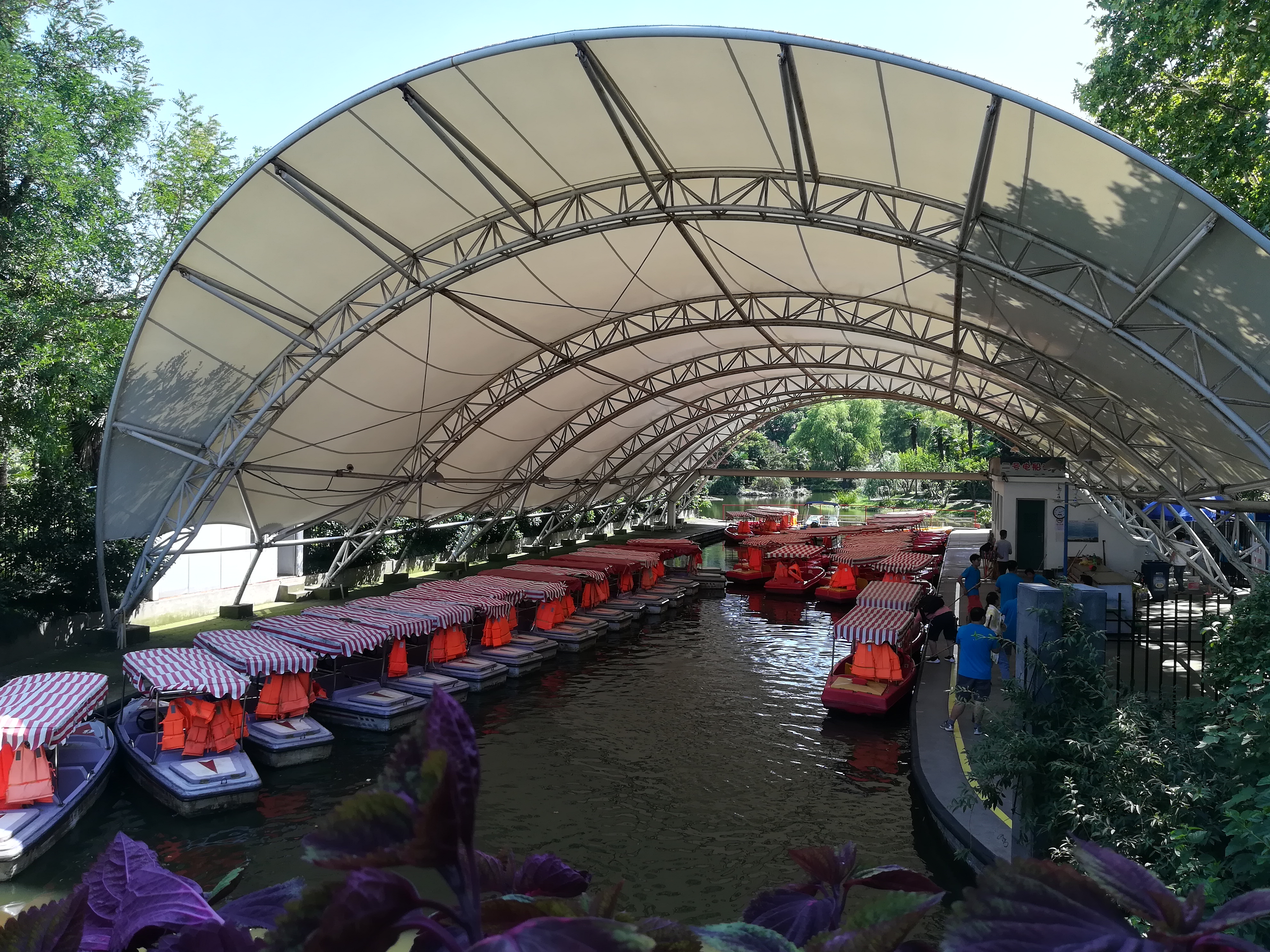 上海长风公园钓鱼,上海长风公园改造计划