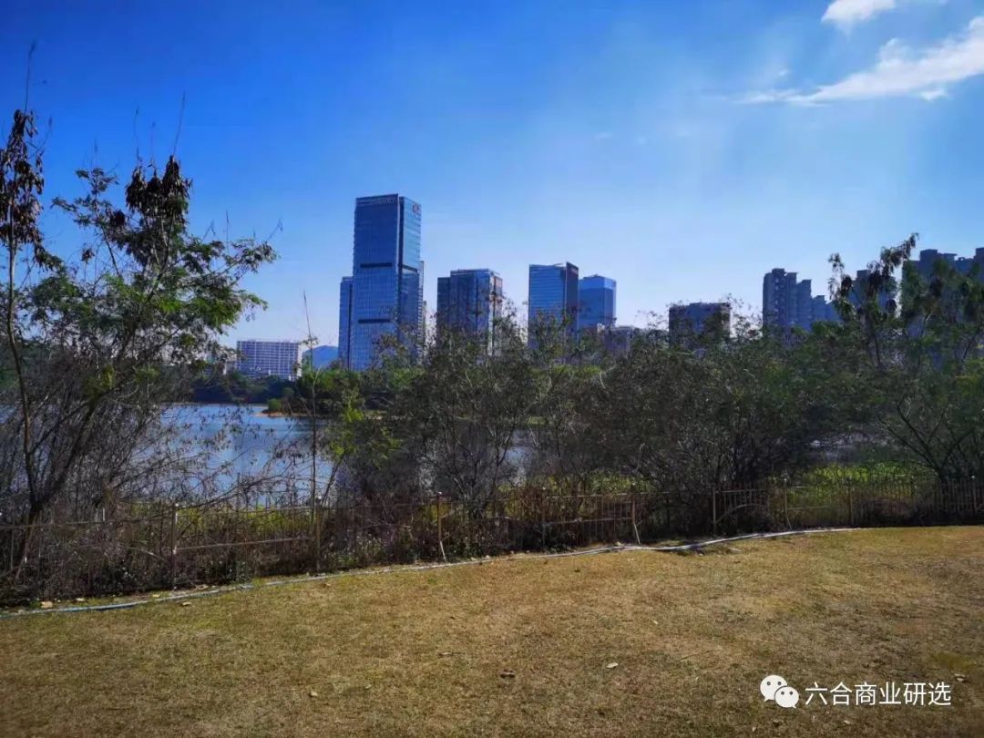 2021回乡见闻录全部视频,2023返乡见闻