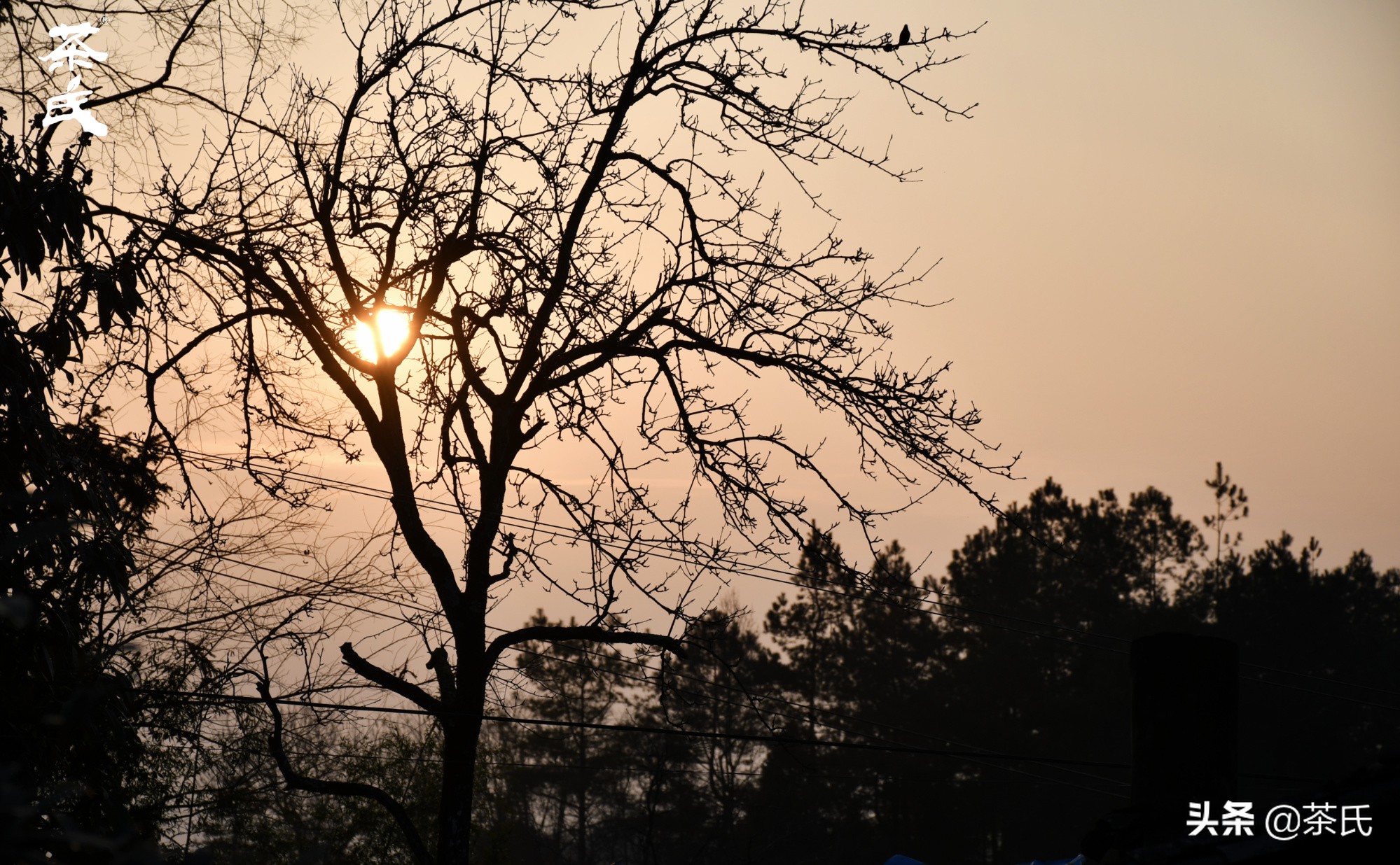 山居生活借山而居,徐州观心山居