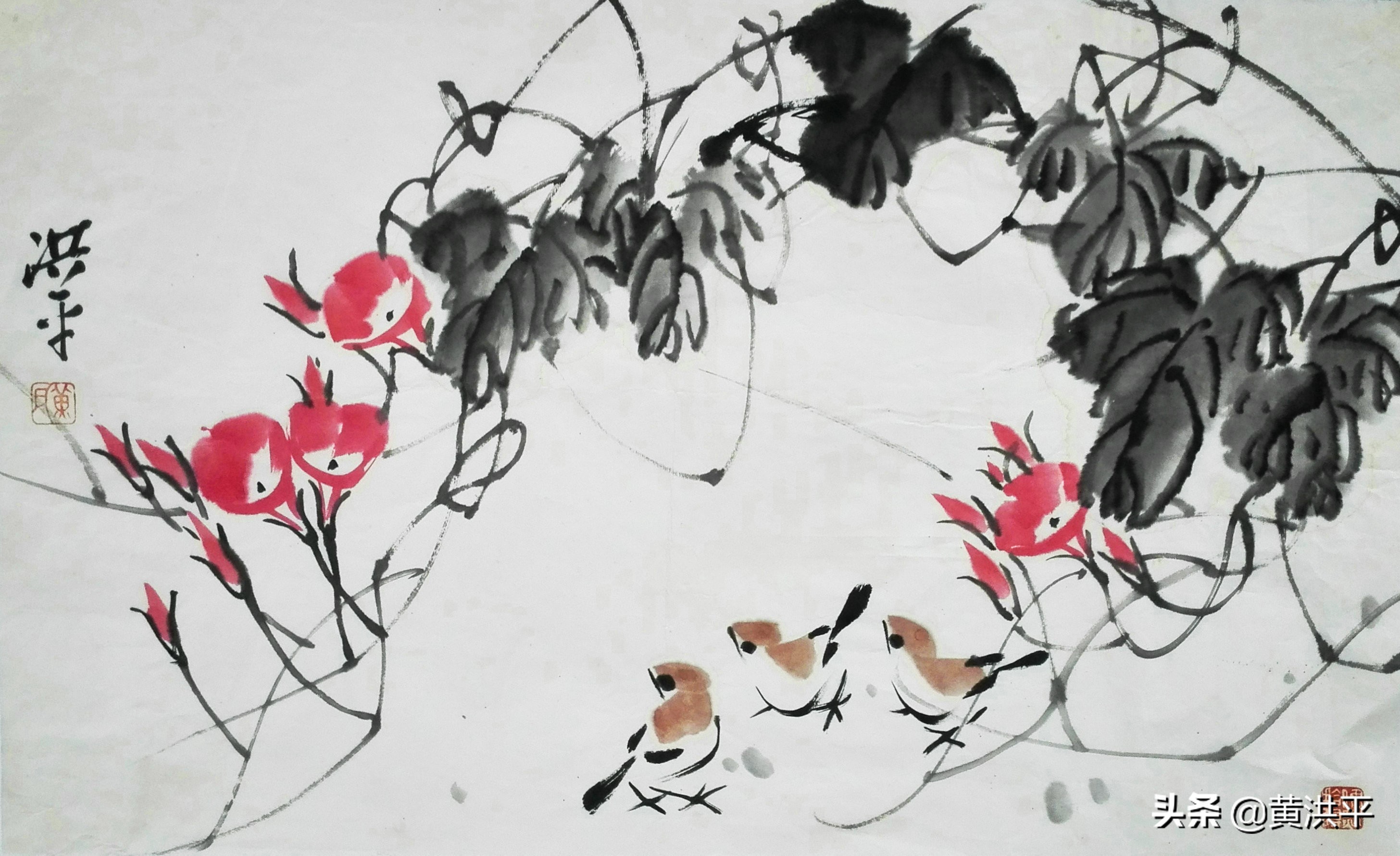 牵牛花柔弱还是脆弱,盛开的牵牛花