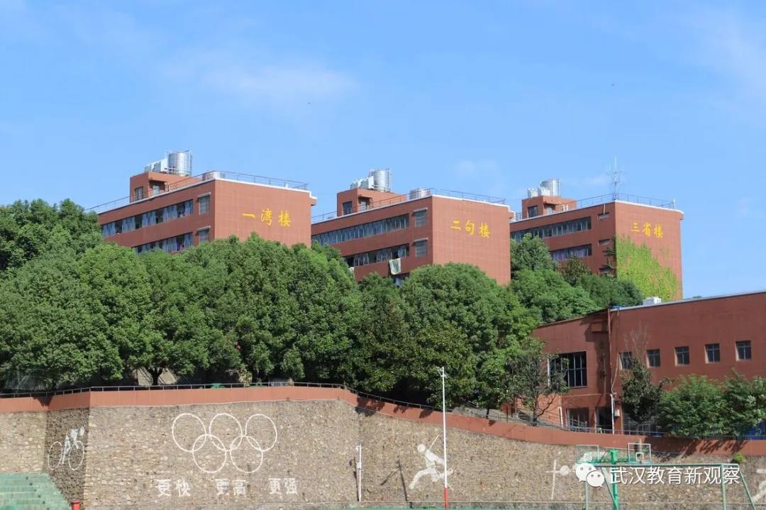 初中各科宝藏资料库,武昌区重点小学排名前十名