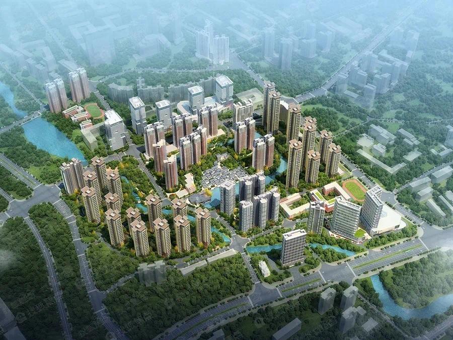 文冲渡头旧改,文冲旧改招标