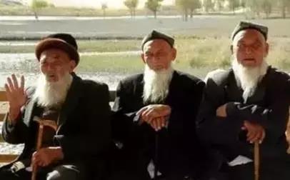 新疆非野生与野生罗布麻茶区别,新疆罗布麻茶哪个牌子的最正宗