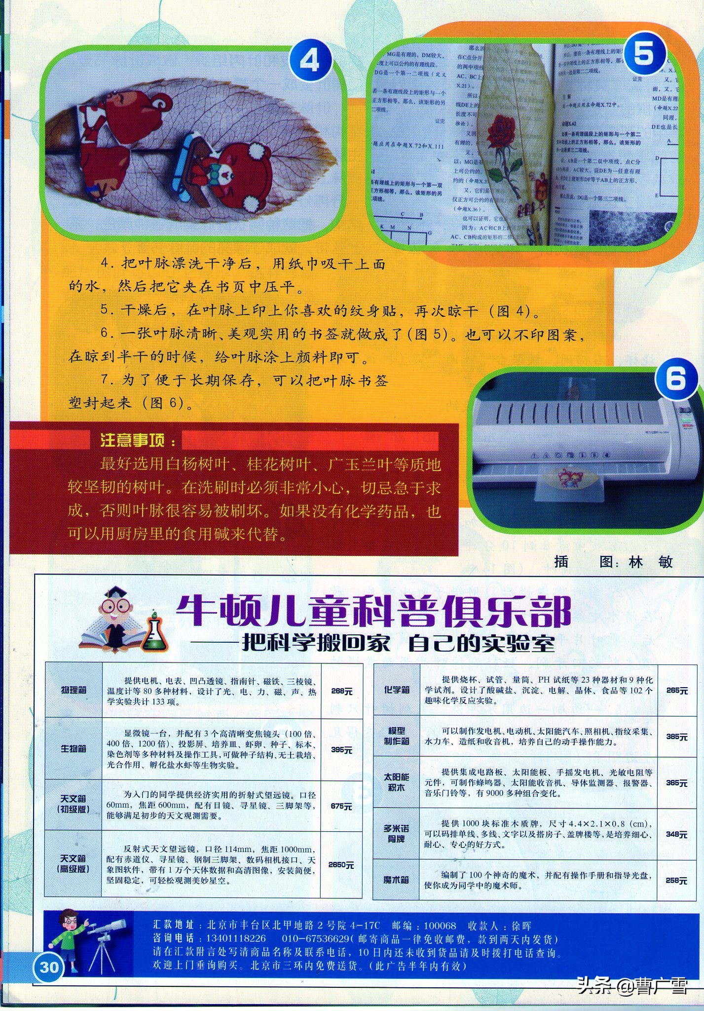 叶脉造型创意画幼儿作品,孩子喜欢的儿童创意画教程6-7岁