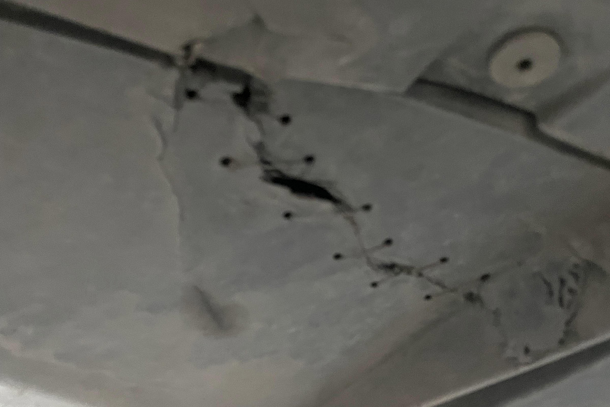 租赁公司卖法拉利,租赁公司的车子能不能买