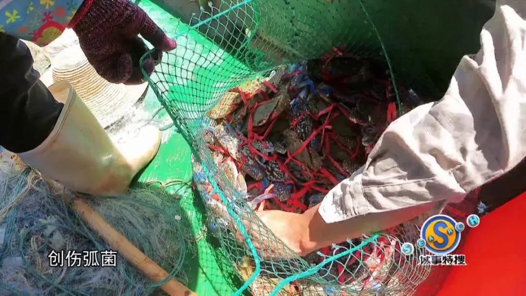 男子被钳子夹住致命部位,男子被咬一口全身器官衰竭