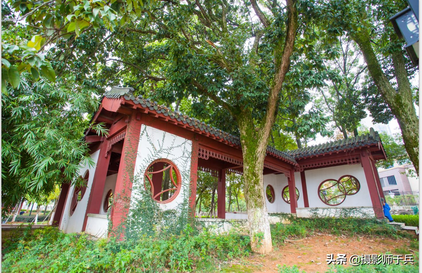 抚州参观汤显祖纪念馆,游抚州汤显祖纪念馆作文400字