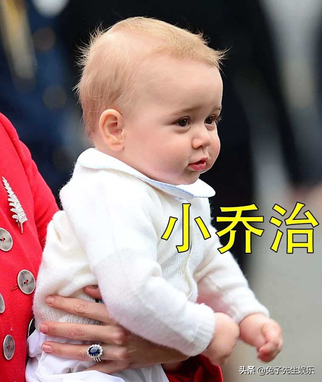 小阿奇梅根视频,阿奇1岁照片大全