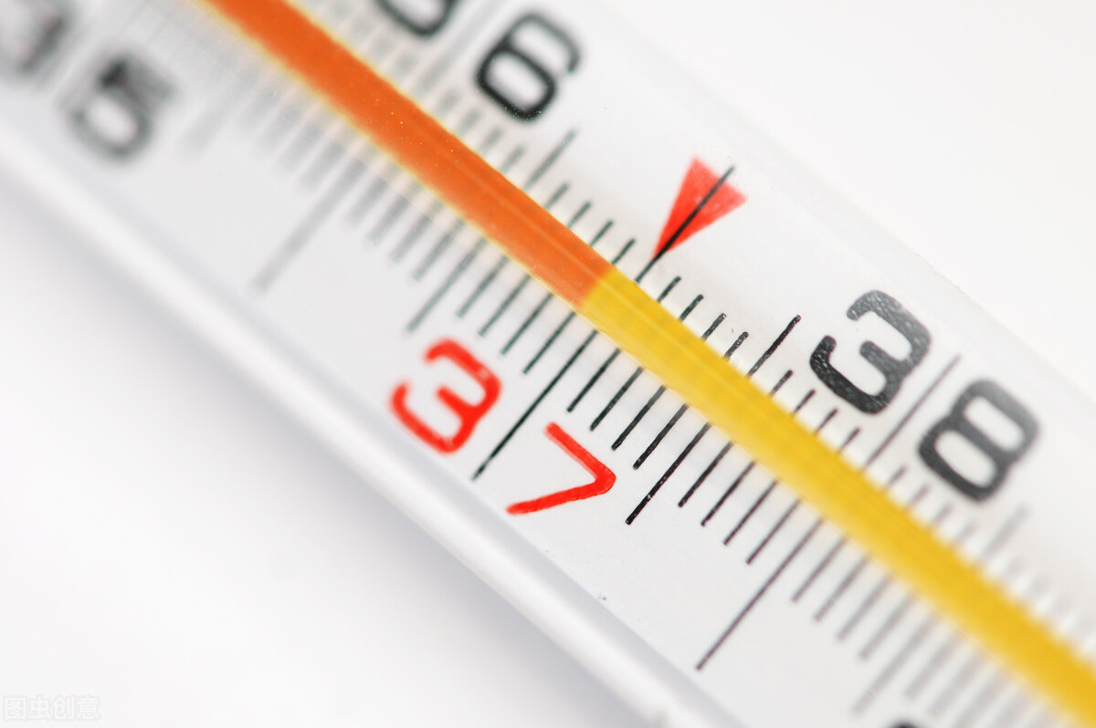 虎皮鹦鹉雏鸟手喂方法,鹦鹉雏鸟该喂什么食物