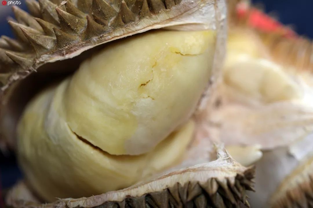 一个榴莲三只鸡的功效与作用,一个榴莲三只鸡真的假的