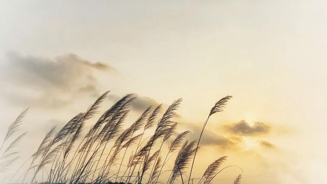 探店民宿普通房间,野风艺栈轰趴主题民宿