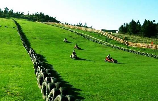 台湾精致农业与乡村旅游,台湾休闲农业和乡村旅游