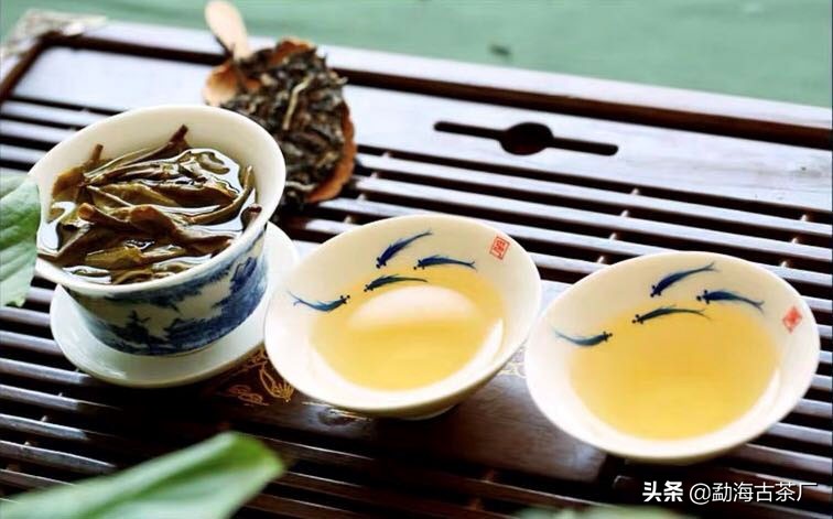 勐海深山老林茶厂普洱茶,普洱茶老品牌茶厂