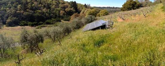 红酒入门喝半干还是半甜,红酒佐餐级葡萄酒