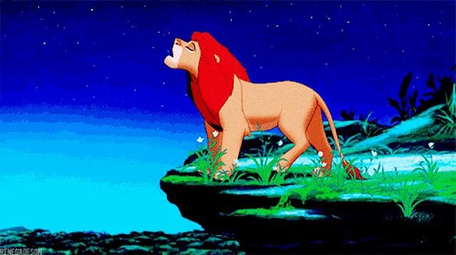 母狮一天发情40次，还追着公狮咬蛋蛋？根本不是这样啊....