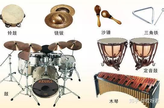 乐器难度等级排行,乐器学习难度排名顺序