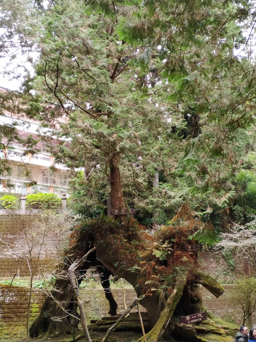 陕西境商集团订单班怎么样,陕西境商集团怎么样