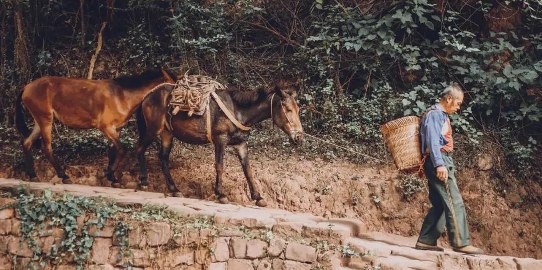 别只盯着大理丽江了!这5个避世小众古镇清净又好吃,你去过几个