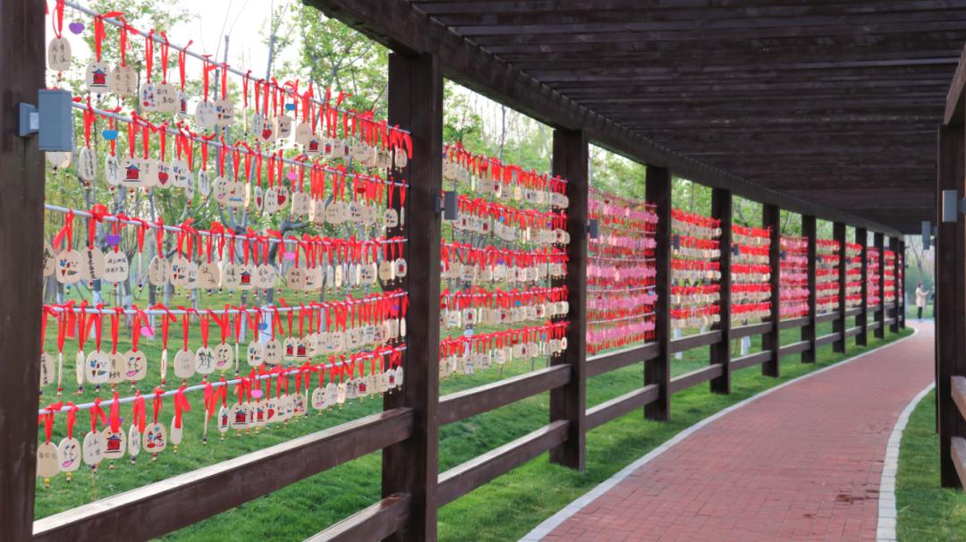 四十而已未来可期,三十而已未来可期余生越来越好