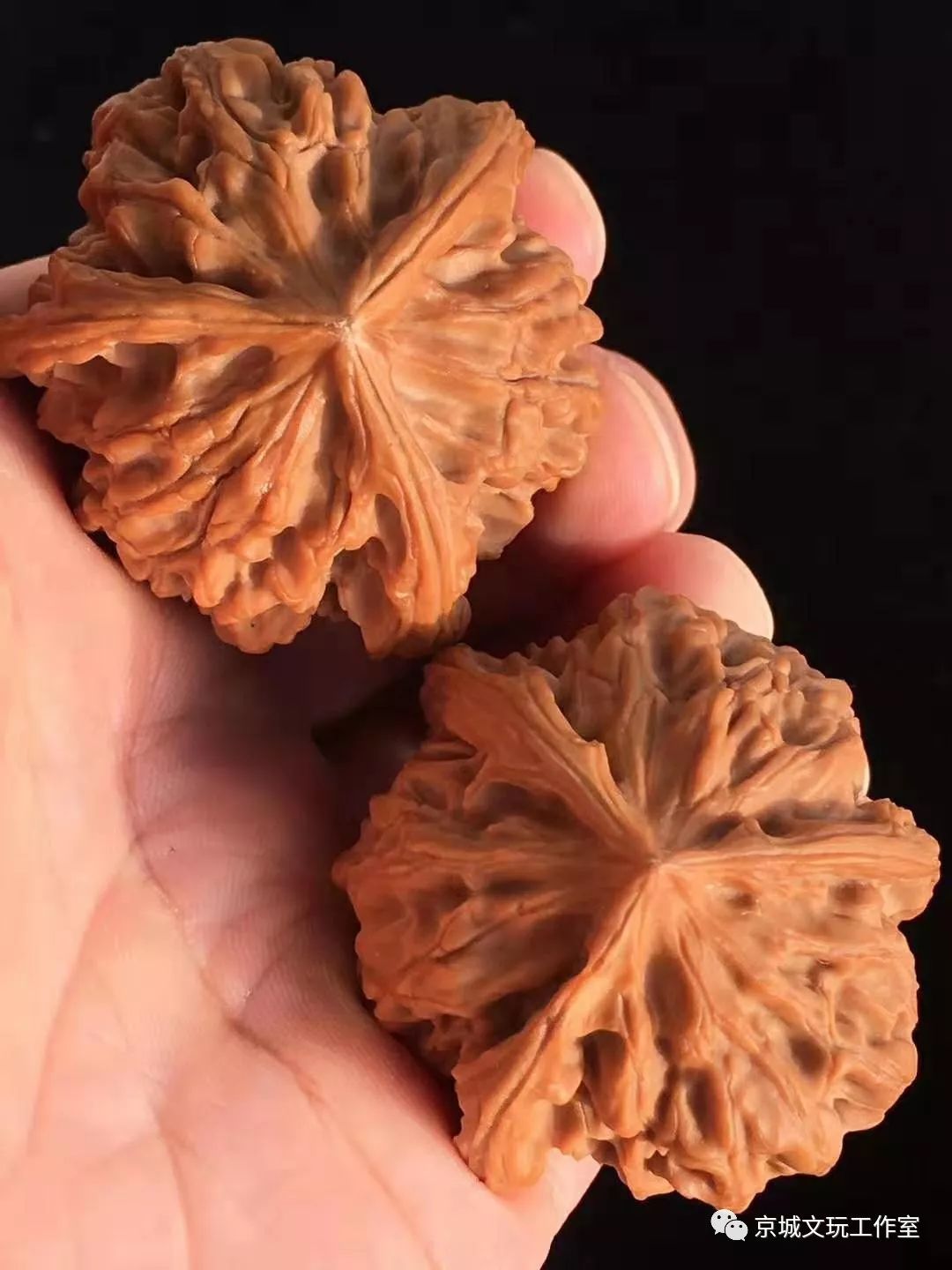 2022目前最火的文玩核桃,最好的文玩核桃品种是哪一种