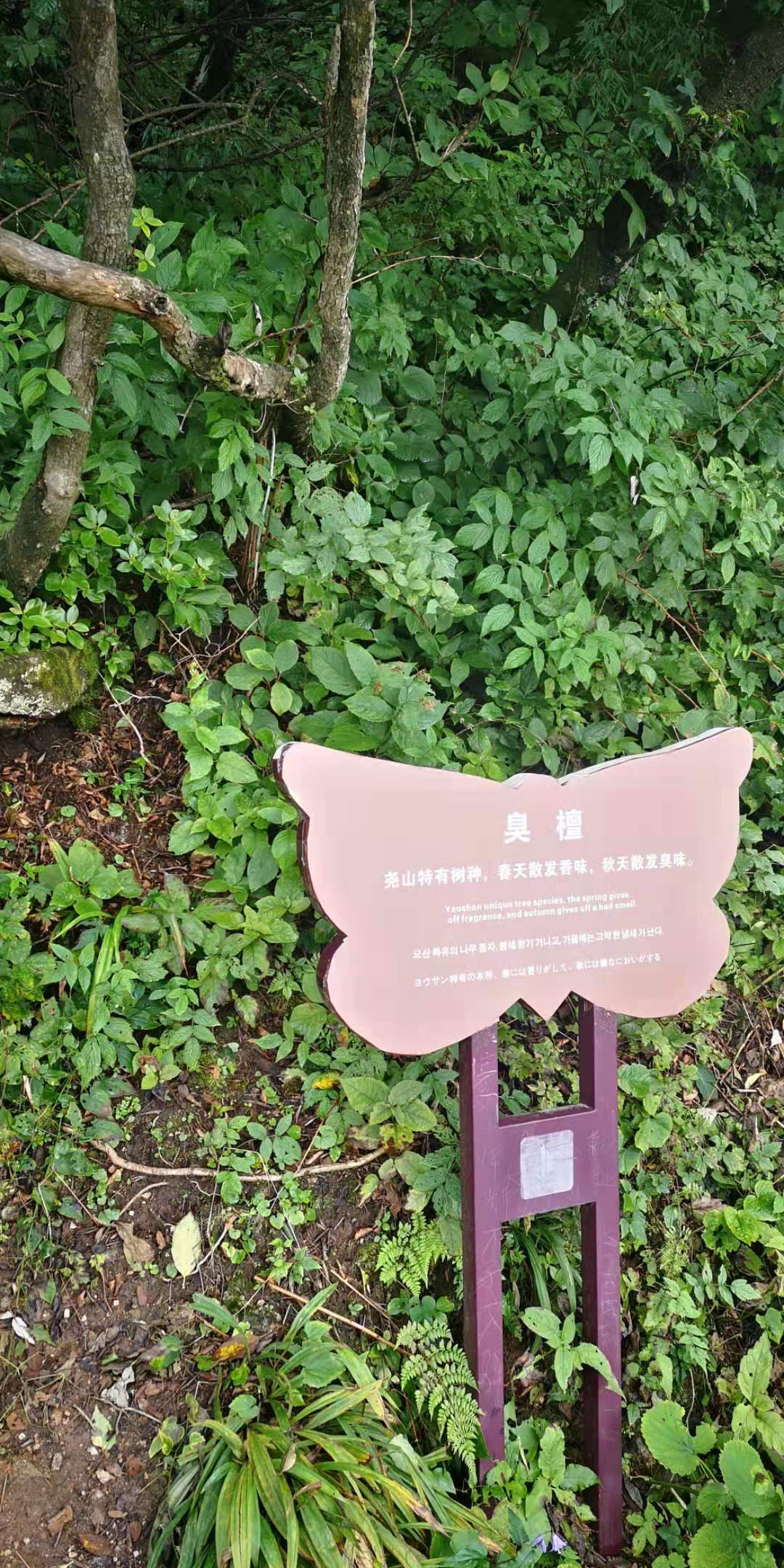 河南尧山风景区游览图片大全集,河南尧山特色风景区有哪些景点