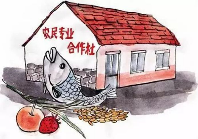 农业流转补贴怎么申请,农业承包政策及补贴