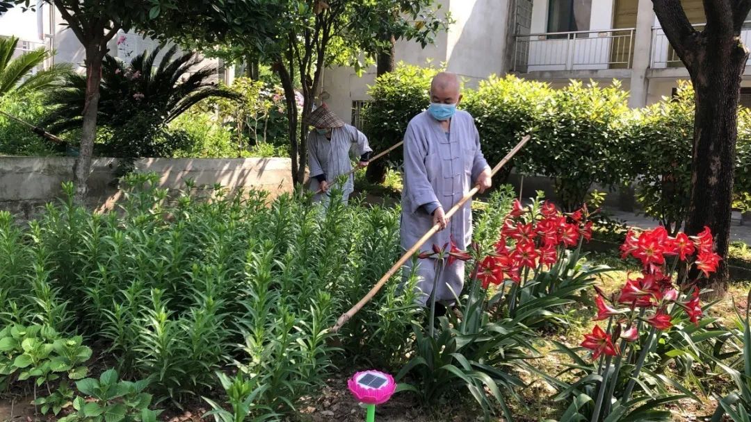 抢抓农时开展农业生产,农民纷纷抢抓春耕生产有利时机